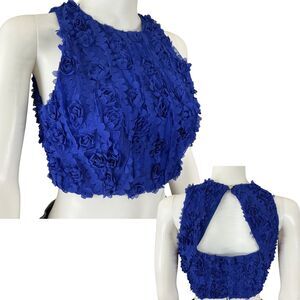 Vintage Y2K Mesh Bustier Crop Top 3D Floral sz M Royal Blue 90s Dainty Fairy USA